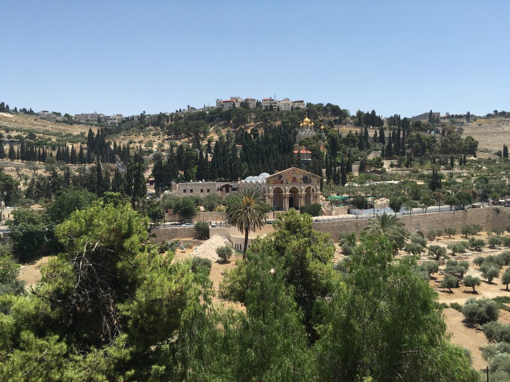 patrickij's tweet image. No martinis for Mount of Olives climb expady.com/2019/01/19/no-…