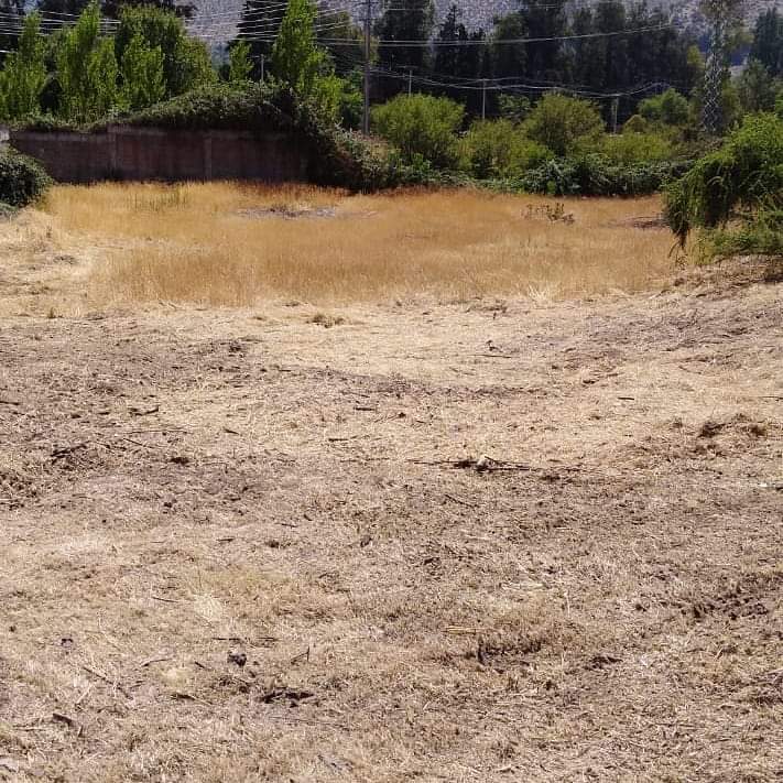 biocys_cl's tweet image. De esta manera avanzan los trabajos del #cortafuego  en el #cerrochequen #19ene