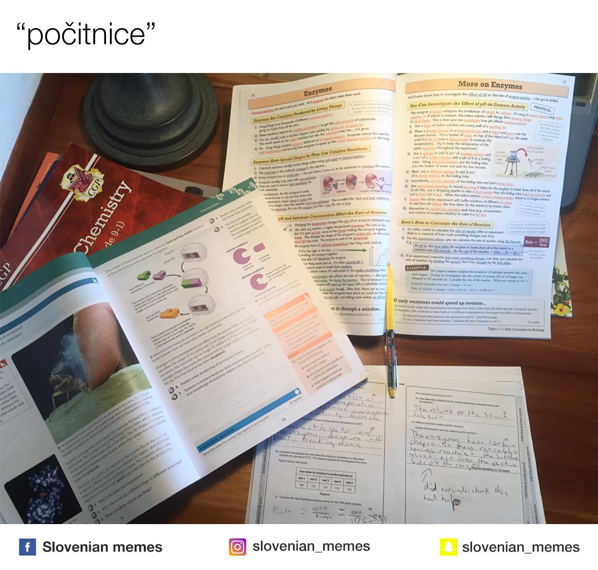 Slovenian Memes (@slovenian_memes) on Twitter photo 