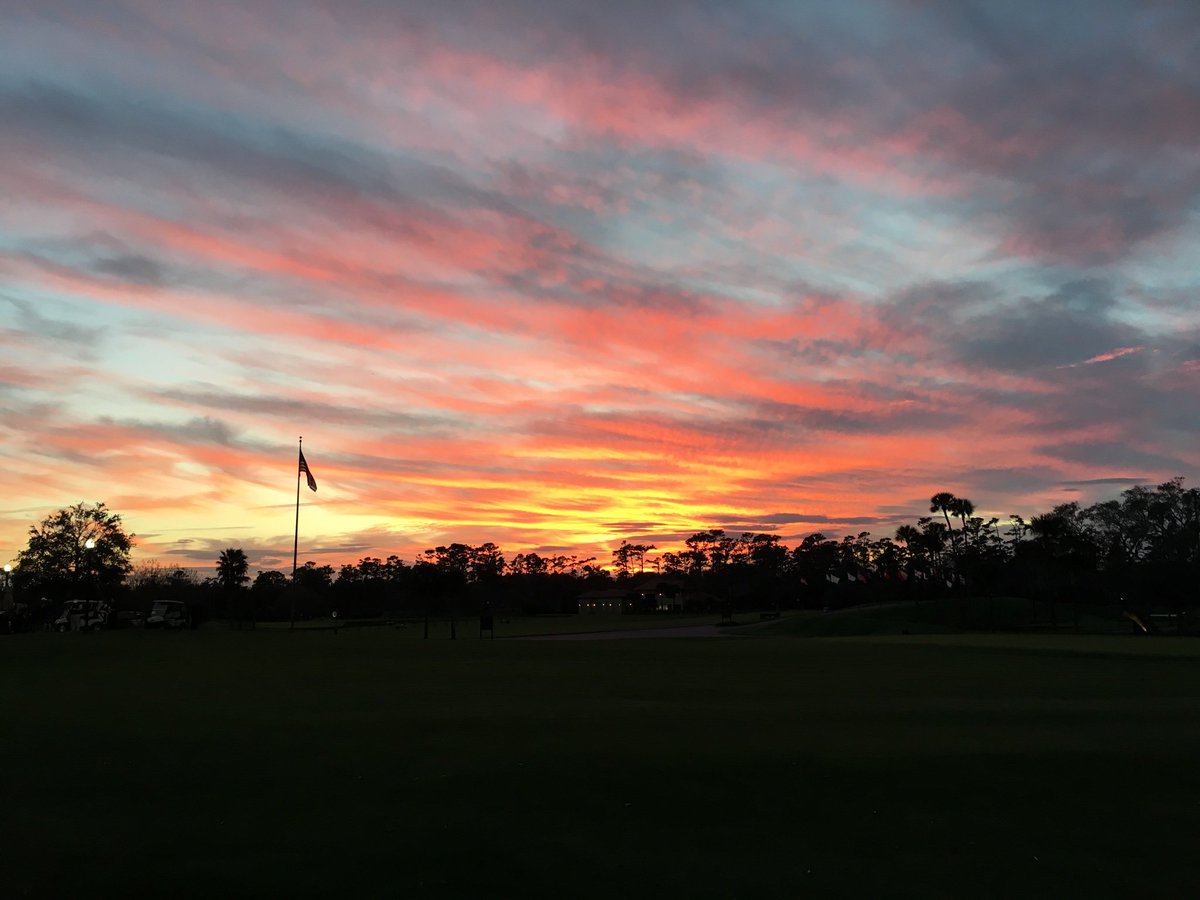 Jonathan Hodge tweet media