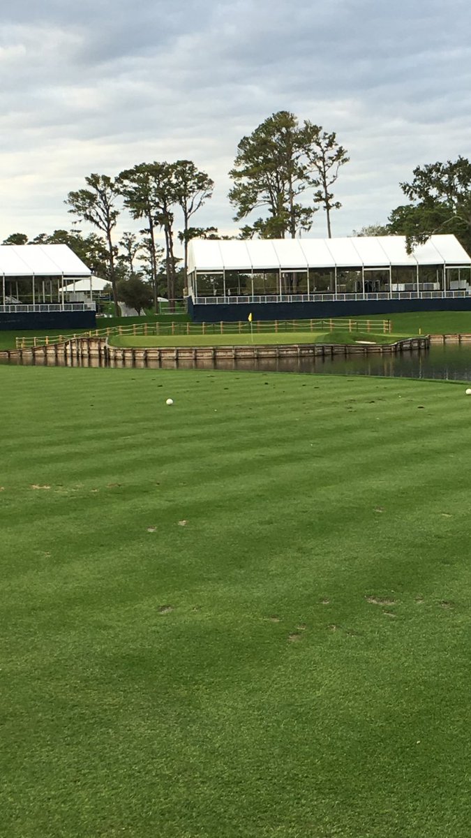 Jonathan Hodge tweet media