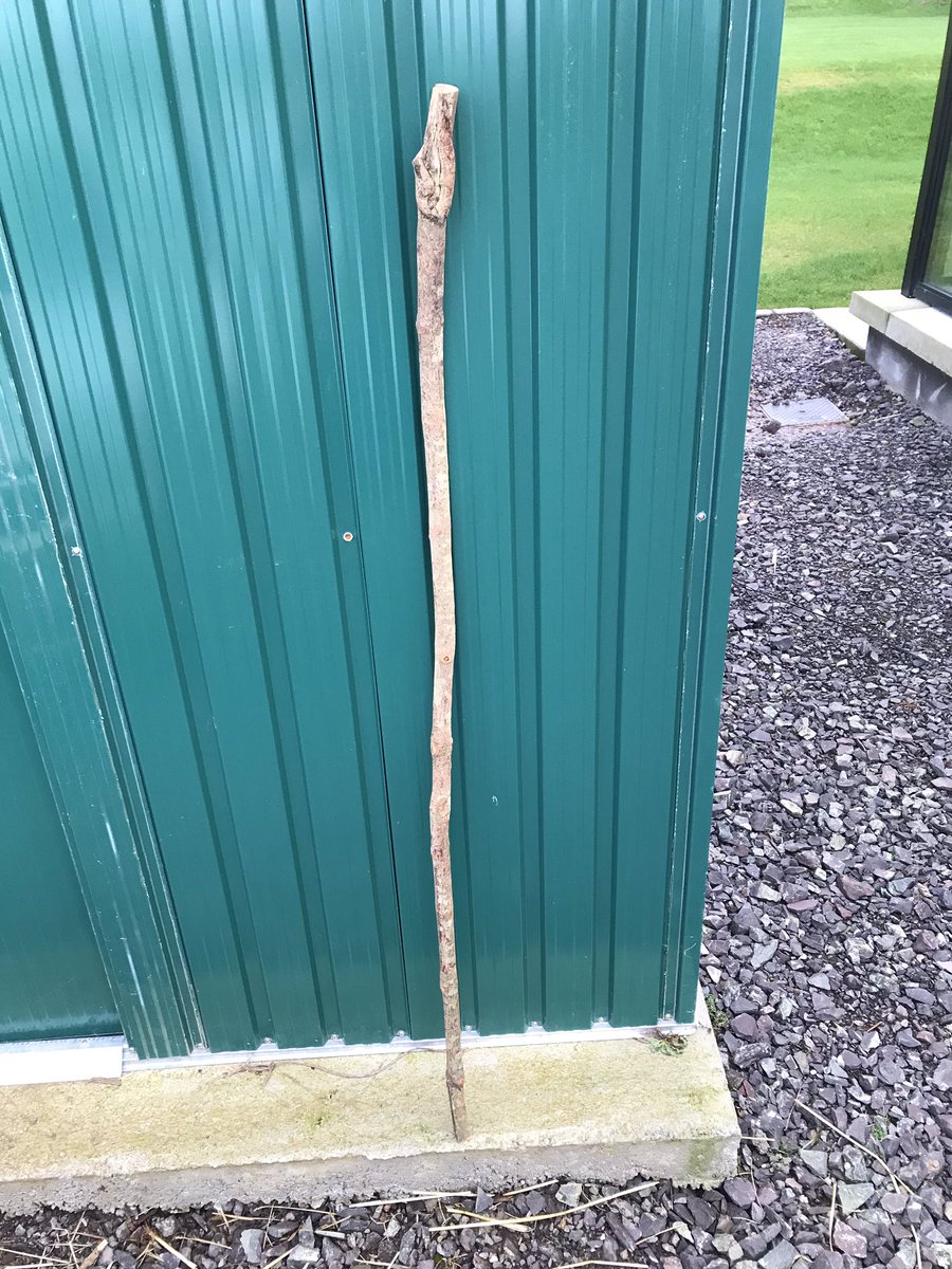 Boyne Sticks tweet media