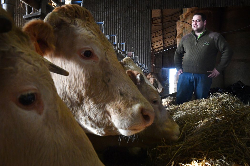leberry_fr's tweet photo. La blonde d’Aquitaine, reine des prés
https://t.co/82PRLyDPfR https://t.co/8Oe3mXrsEW