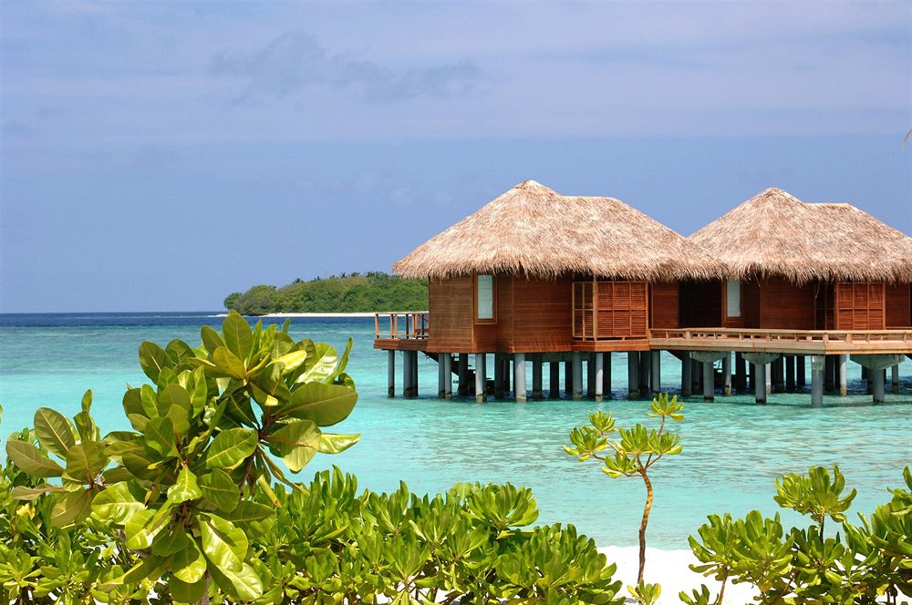 MVTravelHD's tweet photo. You can live in an atmosphere of relaxation and enjoy the picturesque nature and outdoor in Sheraton Maldives Full Moon Resort and Spa .....✨☁🌊🌴🏜
.
.
.
@MarriottRewards
#Maldives 
#MaldivesTravelHD
#YallaAgazat https://t.co/4L2lNEPUdD