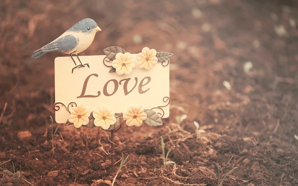 좋으면
좋다고 말해주는 사람이 좋다

보고싶으면
보고싶다고 말해주고

사랑하면
사랑한다고 말해주는 사람이 좋다

긴가민가 헤깔리게 하고
자존심 내세우며 마음은 감추는 어설픈 사람보다

속을 확 보여주며
사랑을 느끼게 해 주는
진솔한 사람이좋다