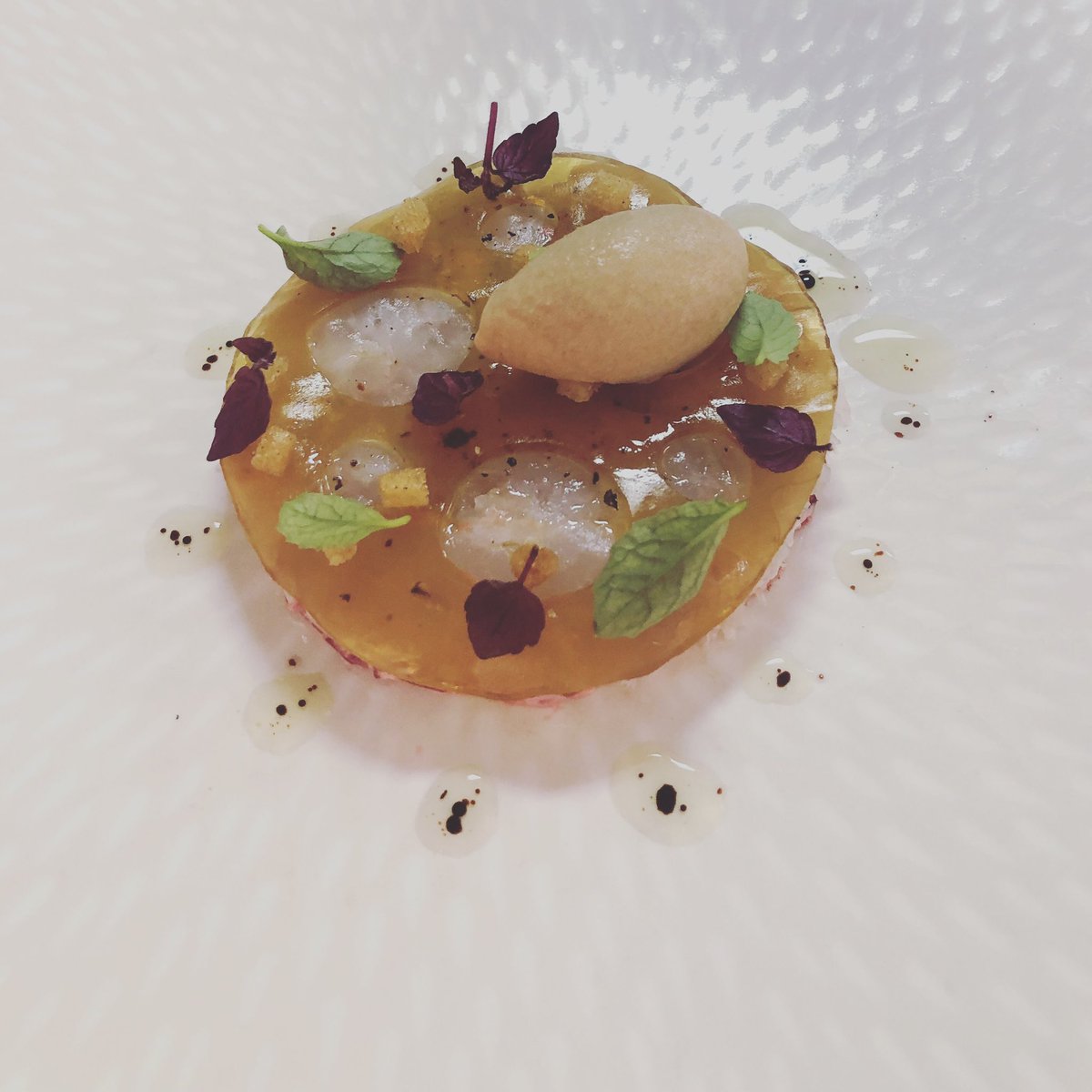 🚨New to the a la carte 🚨

🦐 Langoustine 
Beetroot | Lemon Thyme 

Clean, Fresh &amp; Well Balanced Flavours 💫 

Yes ! , we use all parts of the Langoustine 🖕🏼

🦐Tartare 
🦐Ice-cream 
🦐Jelly 

#keepitmoving #stayactive #focused #pushing #firstdraft #alacarte