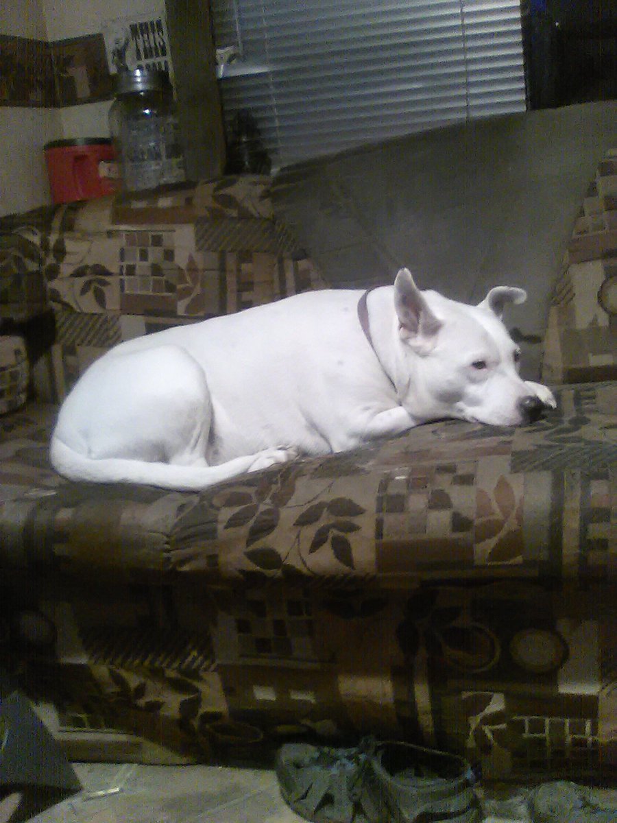 Boredom when it is cold outside LOL