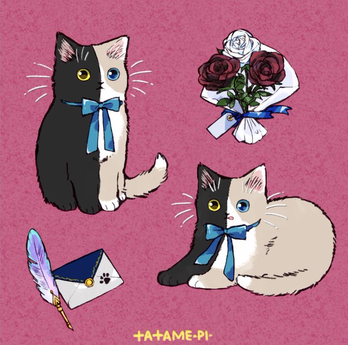 「花 白い猫」のTwitter画像/イラスト(新着)｜8ページ目