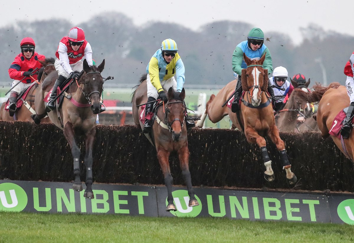 Haydock Park Races tweet media