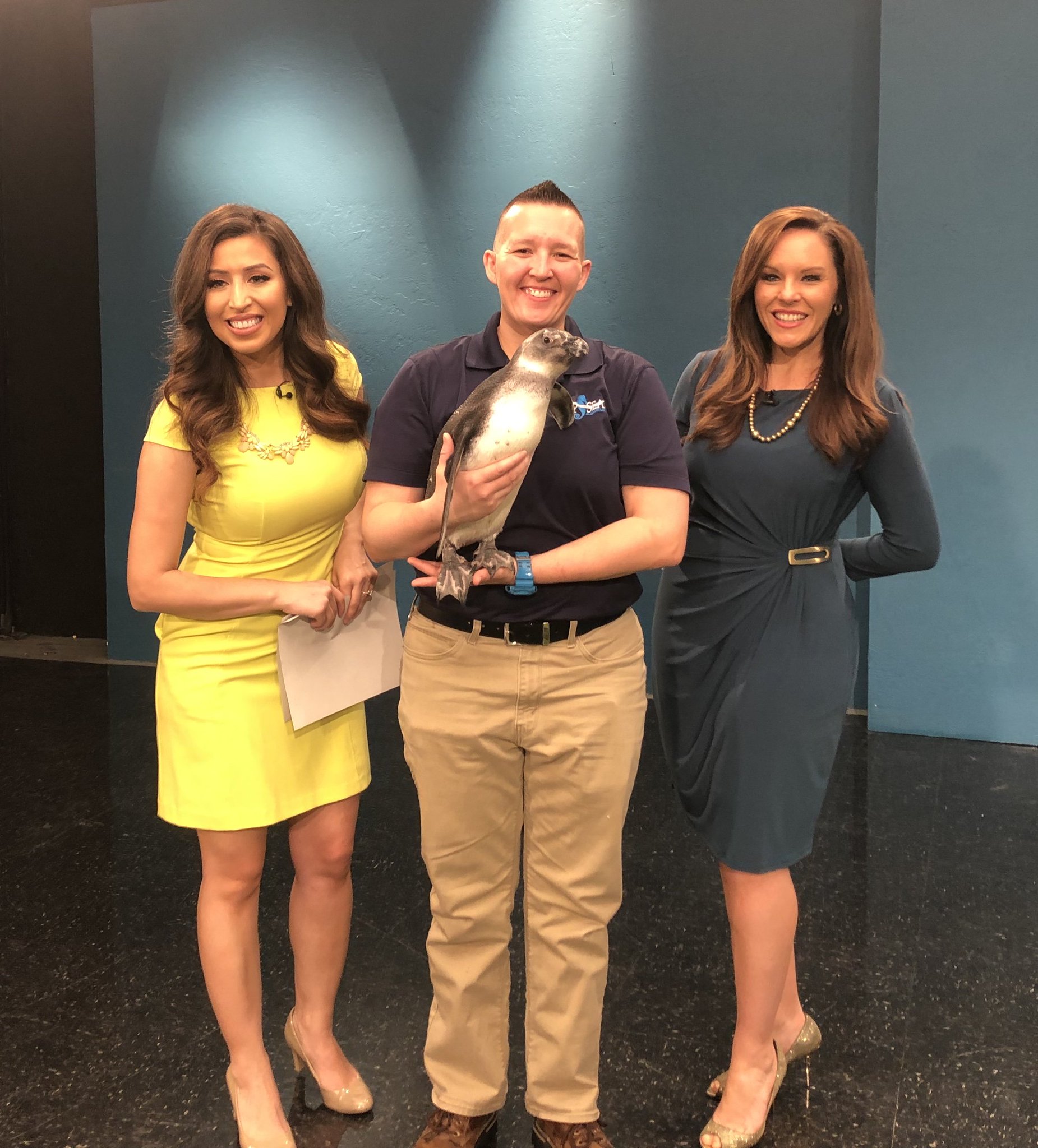 OdySea Aquarium on Twitter "Did you see us on abc15 this morning