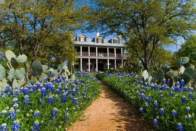Bluebonet season is just a couple months away, have you made your reservation yet?  512-268-1617