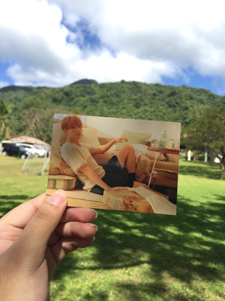 ✩彡 entry 019/365 @pledis_17 — im not really sure if the Ailee special stage with some svt members is true but i hope that it is. anyways dispatch also posted a few wacky pics of gyu, han & cheol. also i came from mt. makiling recreational & i took these pics before leaving lol