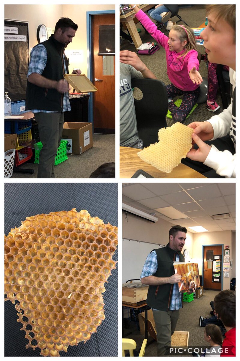 robinsons_room's tweet photo. It’s amazing what can transpire in 10 days! Understanding reduces fear, raises empathy & provokes ideas for action. Next week, they begin planning how they hope to improve the world! Persuasion, Education & Action! #STEManities #incubatingawesome Thx Mr. Harding! #Sustainability https://t.co/K2boRZZOph
