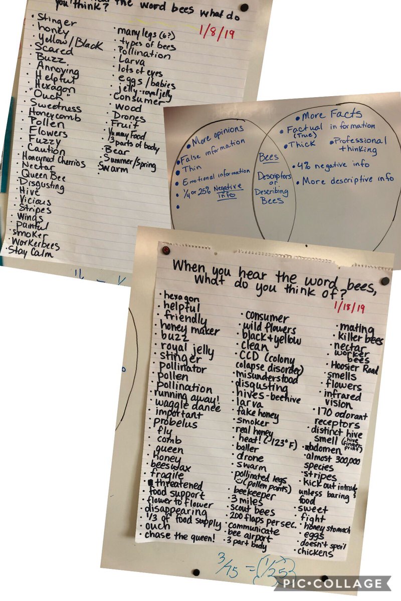 robinsons_room's tweet photo. It’s amazing what can transpire in 10 days! Understanding reduces fear, raises empathy & provokes ideas for action. Next week, they begin planning how they hope to improve the world! Persuasion, Education & Action! #STEManities #incubatingawesome Thx Mr. Harding! #Sustainability https://t.co/K2boRZZOph