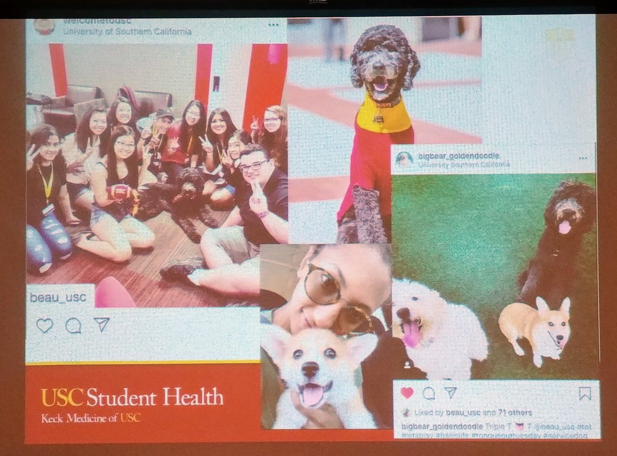 UCMCCHealth's tweet photo. A fun second to last #NASPAStrategies19 @NASPAtweets session, Health as an Interspecies System: Connecting with our Best Friends #OldDrum #Homeofmansbestfriend @UCMPresident #canwepleasehaveafacilitydog https://t.co/jy8axxi8Vr