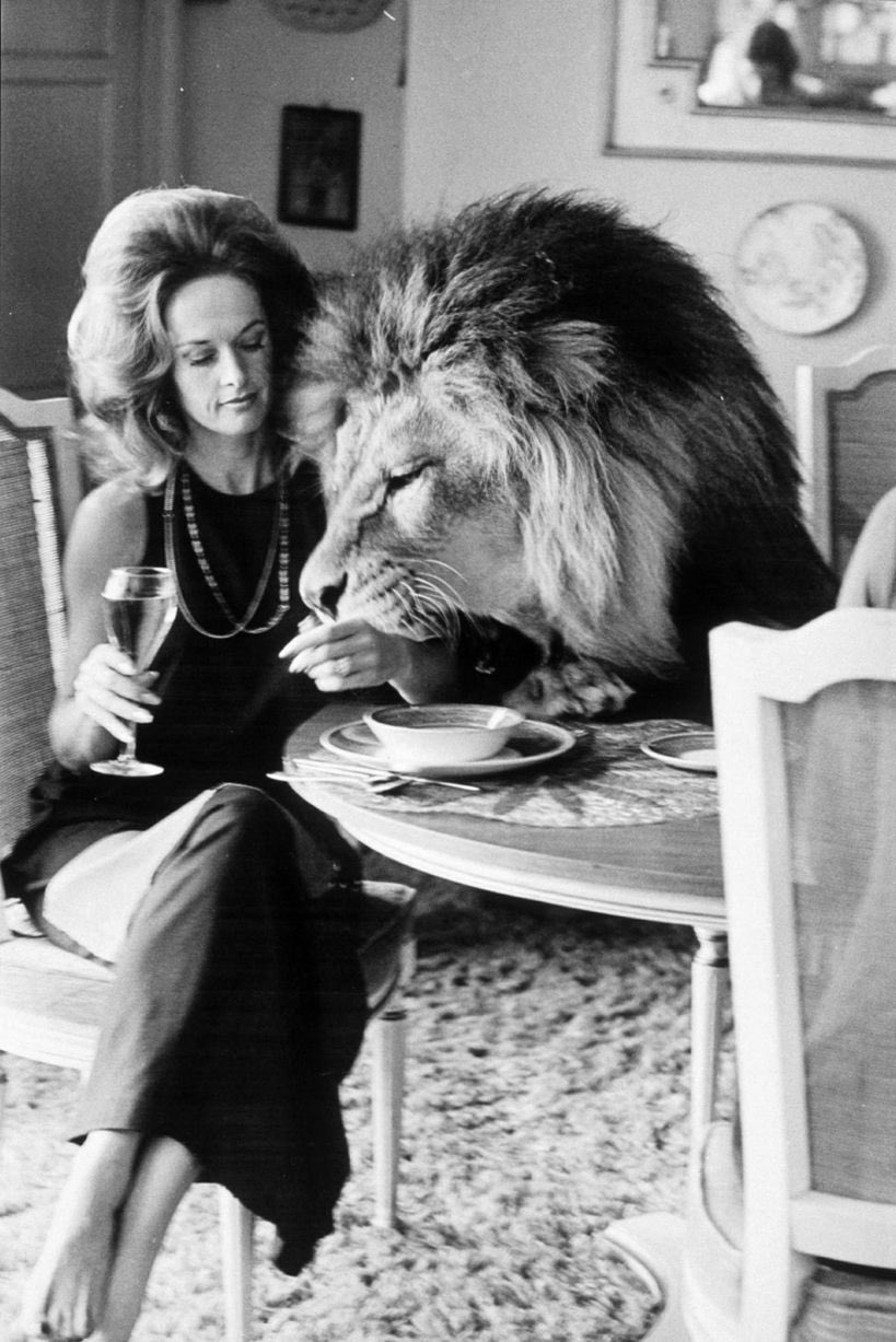  If people could be as honest as animals, what a different world it would be. Happy Birthday, Tippi Hedren. 