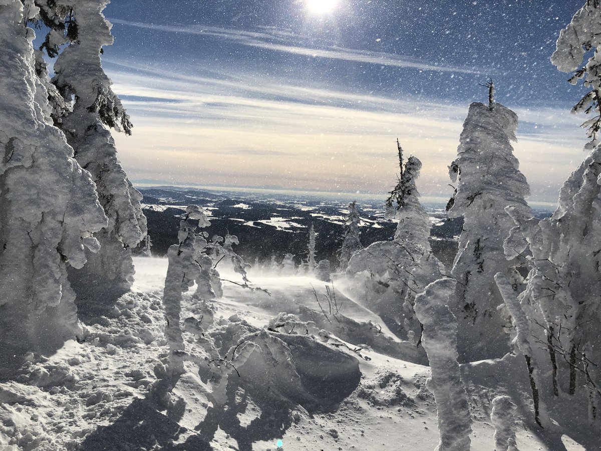 Wieder einer 💪🏻