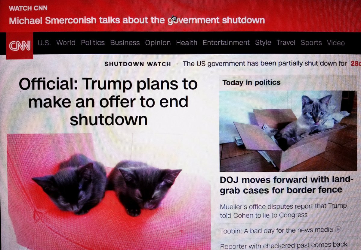 Hedreich's tweet photo. My #chrome extension #makeamericakittensagain makes the news so much more palatable! #caturday #cnn #fbr #fbrparty #resistance https://t.co/y4lLX99gpM