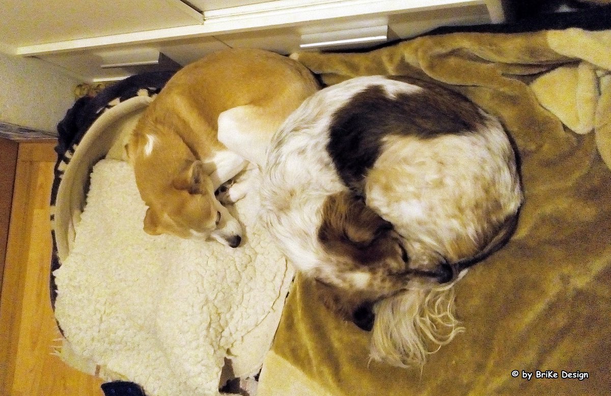 <a href="/BrikeDesign/">BriKe Design</a> #näht und die #jungs #kuscheln :)
palundu.de/brikedesign