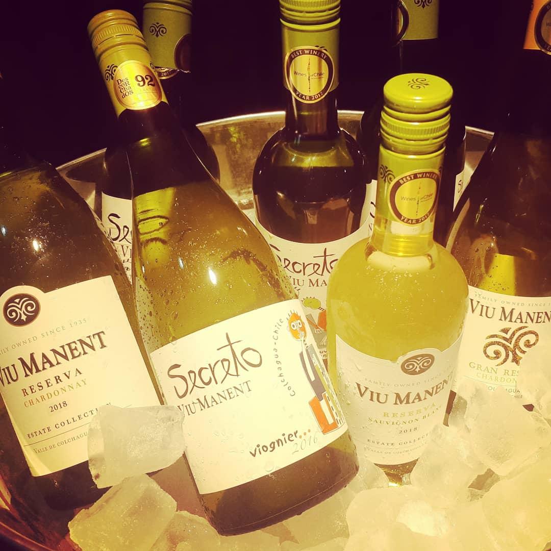 RestaurantKura's tweet photo. Yaaa ¡¡¡TODO el #findesemana con @viumanentwinery
COPAS/ BOTELLAS
#viognier #chardonnay #sauvignonblanc #estatecollection #secreto
#kurarestorán #winelovers #Cocinachilena
#Chanchoalachicha #chileanfood
#Curacaví #ruta68 #K33
@cavasreunidas https://t.co/8c8ggt4Ws7