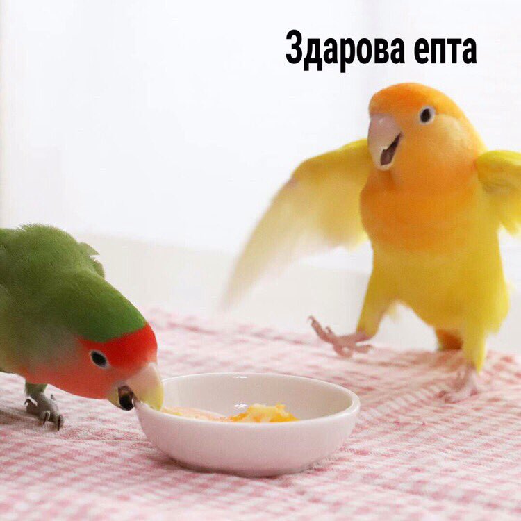 Я ВЕРНУЛСЯ В ЭТОТ МИР!