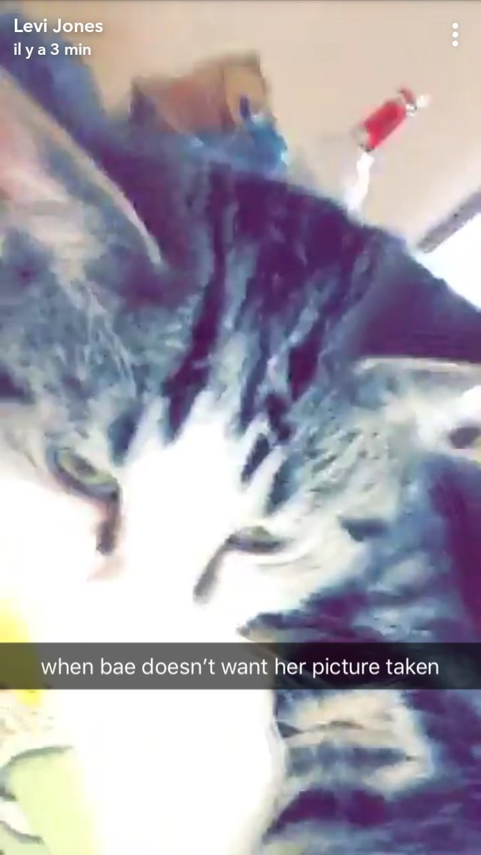 TheTide_source's tweet photo. ๐ปVia snapchat #Tiders by @LeviJones https://t.co/zNG5lvNIq4