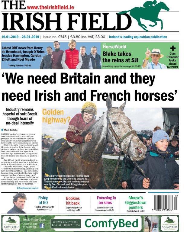 NavanRacecourse's tweet image. Best of luck to the @tuvastables trained Tu Est Permis in the Grade 2 Kinloch Brae Chase tomorrow @thurlesraces. Great picture of him &amp;amp; @swflanagan7 after winning the GrB @Ladbrokes Troytown Chase here last November in this week’s @TheIrishField! #NavanForm #TroytownWinner