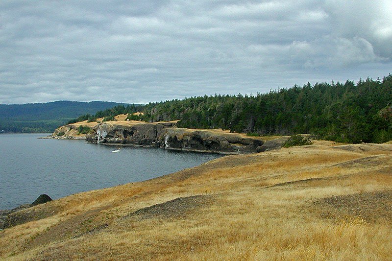 HornbyIslandLP's tweet photo. Visit Helliwell Park in late April or May when the wildflowers cover the hillside. This special 69 hectare park is located at St. John Point. Rated #1 under "Things To Do on Hornby Island" by Tripadvisor. Pic: @VanIsleVacation
#hornbyisland #helliwellpark #bcparks #travel #2019 https://t.co/jTUUxcXpjY