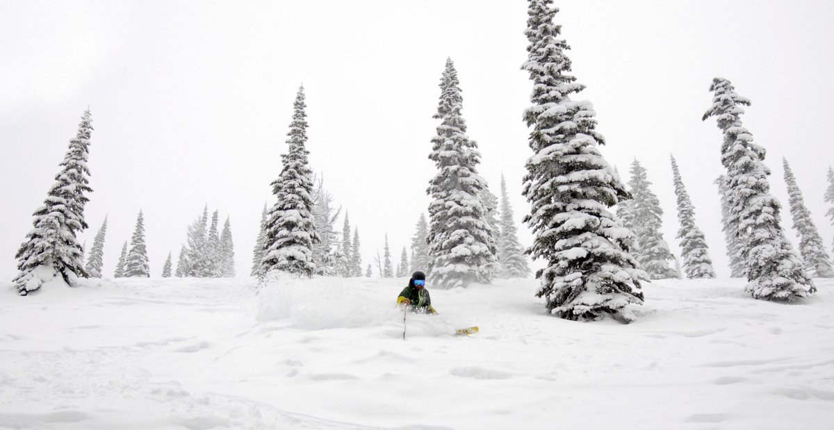 Powder Alliance (powderalliance) Twitter