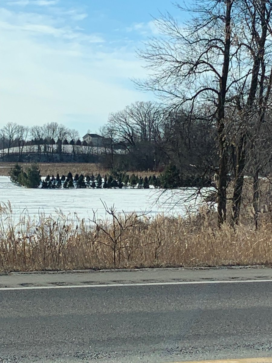 Naval_Academy's tweet image. ⁦@Buccigross⁩ Nothing like a private pond hockey rink surrounded by Christmas trees #onlyinMinnesota ⁦