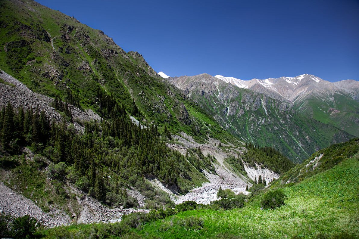 Природный парк ала арча