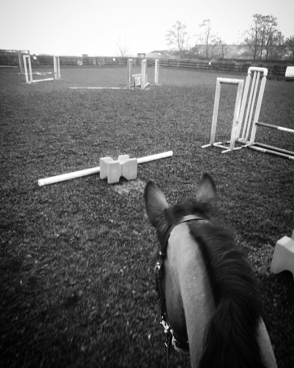 AmateurEventing's tweet image. What weekends are made for 💪🏻 #traintraintrain