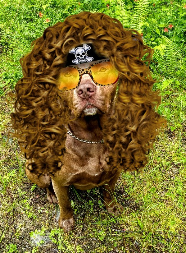L.j.seeks Bigfoot tweet media