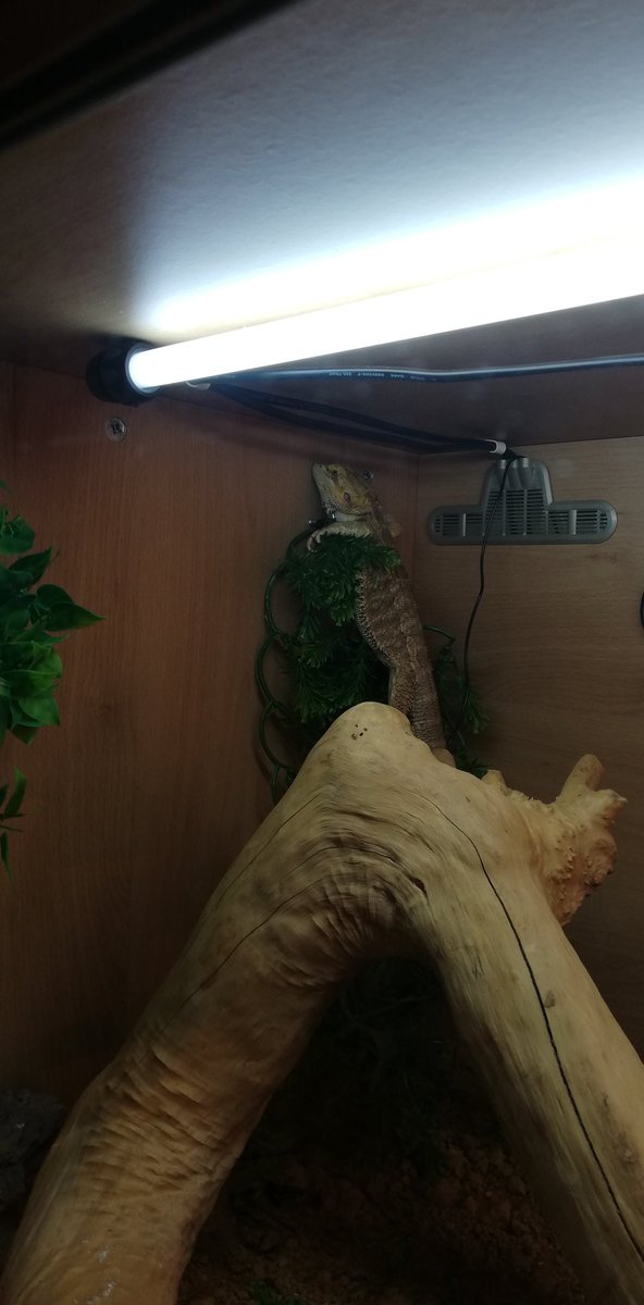 FolleyBen's tweet photo. He's been hanging around for like 3 hours... WHAT ARE YOU STILL DOING UP THERE ?? https://t.co/2ObUXMan44