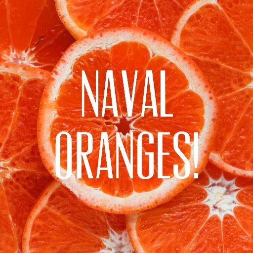 What is a navy officer's favorite fruit?