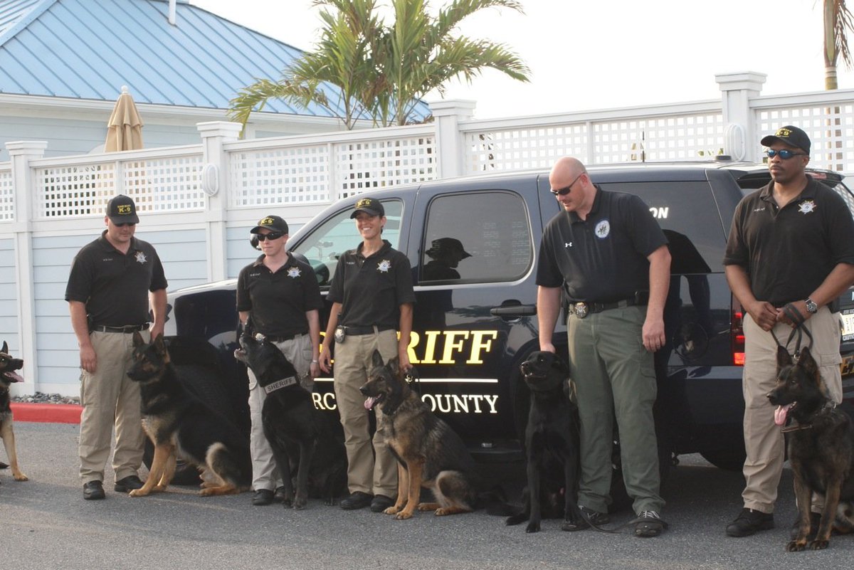 Paulding_OH_SO's tweet photo. New K-9 DOGS?!?!!?!!?! Congrats! https://t.co/rV1Z9D0qH7