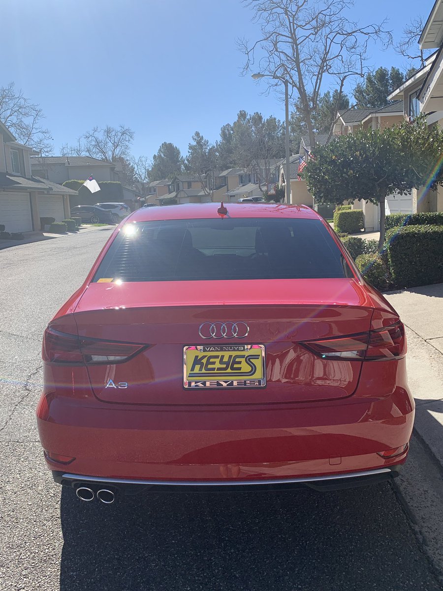AvaBaghai's tweet photo. Thank you @MoeBaghai for detailing Rose and making her look beautiful!!πππΉβ€οΈπ₯°π @Audi @KeyesAudi #AudiA3 #Audi #KeyesAudi #Rose @chemicalguys https://t.co/T0ftSdMXKK