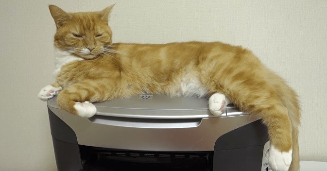 【本人も予想外】プリンターの上でくつろぐネコが、体勢を変えようとしたら… petfilm.biz/?p=82459