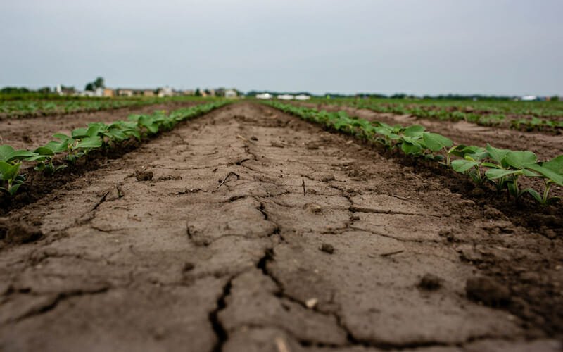 intpolicydigest's tweet photo. Vulnerabilities in the Food Supply Chain, the New Hidden Systemic Risk https://t.co/FyjXrMuWi9 #FoodChain #GlobalFoodChain #ClimateChange #FoodSecurity @afranzRC @intpolicydigest https://t.co/shCE8XRnhk