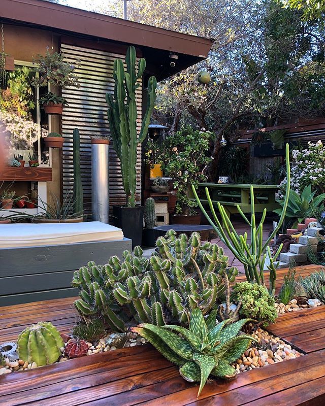 TheHorticult's tweet photo. Living Table #1 🌿 Always changing and always appreciating the soft winter sun since 2009 ☀️ #livingtable #ryanbenoitdesign #thehorticultgarden https://t.co/L9rb6e3m23 https://t.co/tRFEOBzaae
