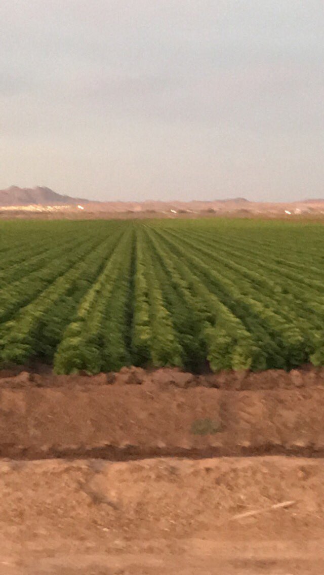 Hefley97A's tweet photo. What you guys been doing for fun? #makingsalad #keepinitfresh #sprayerslife https://t.co/kPXEw6HH5k