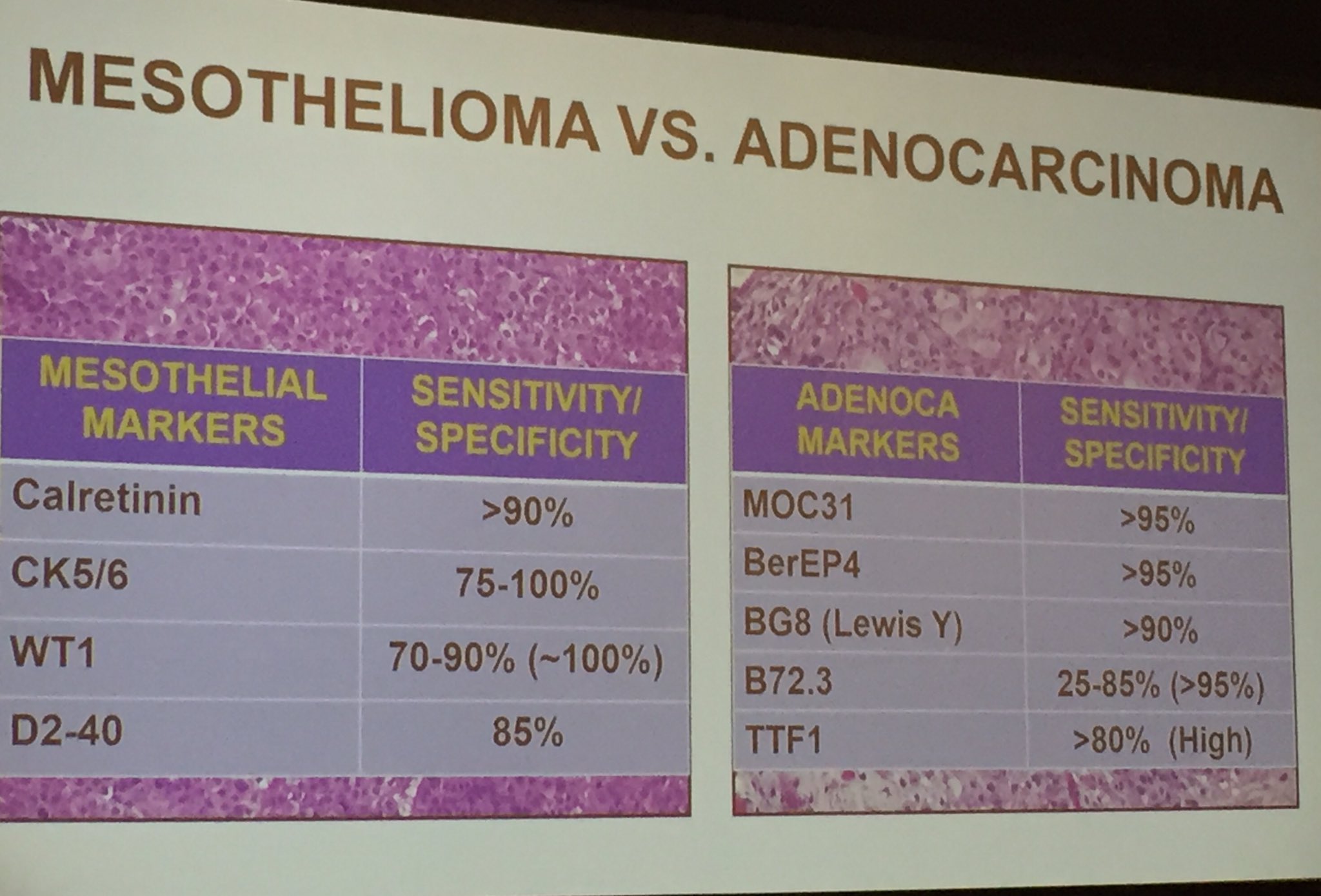 what is the survival rate of omentum cancer