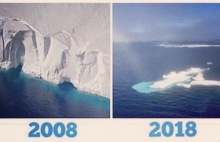onelesscup1's tweet photo. #10YearChallenge https://t.co/b4UjYvBnSB