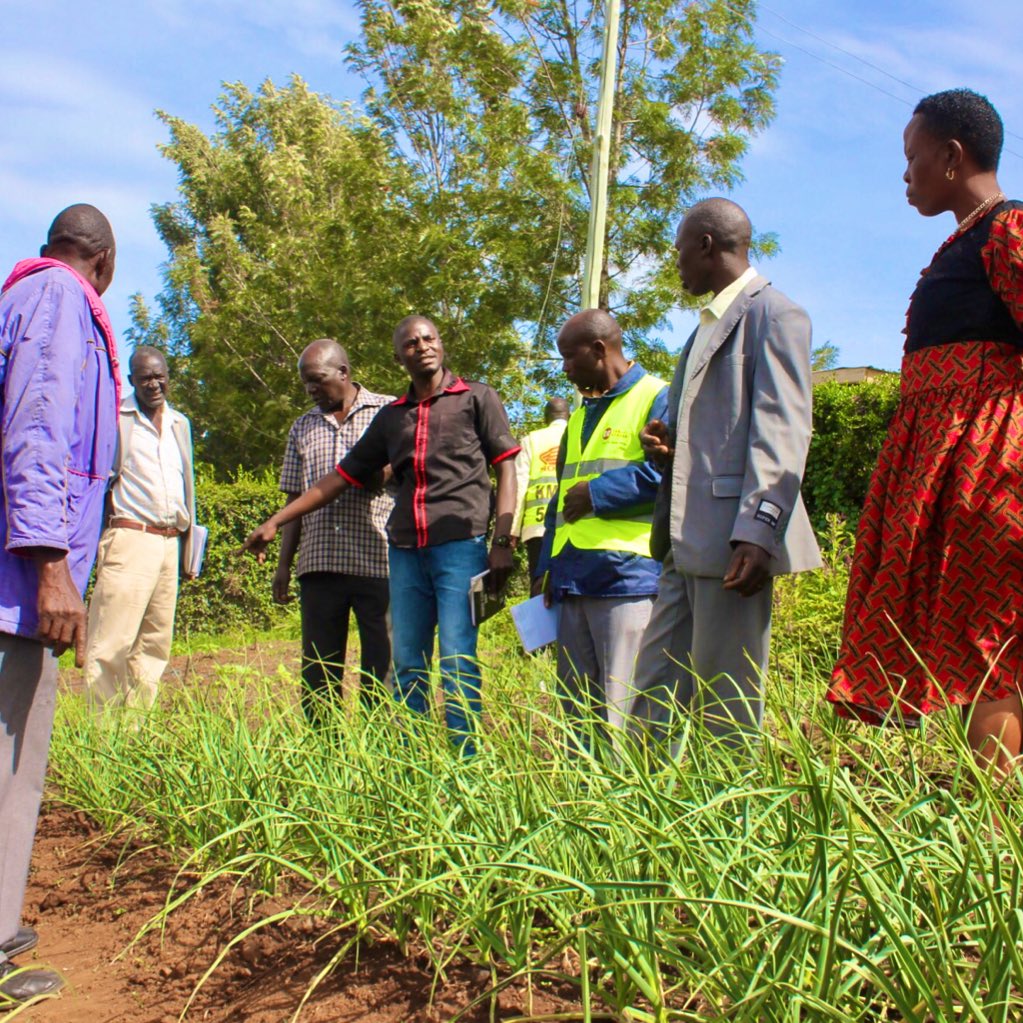 TYakushigawa's tweet photo. ใWhat is the #SocialSolution for #AlphajiriLtd ใ
Called #AlphaChama, smallholders' groups of 10-15 people
* Strong discipline to actively live
* Can receive training, inputs, loans, crop purchasing services
* Independently do table banking / savings
* Disaster relief system https://t.co/r0eqUtmlQ8