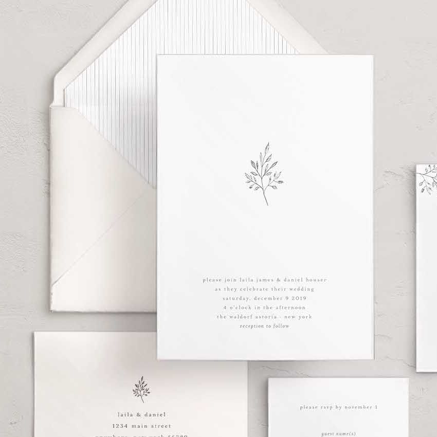augustandwhite's tweet photo. The Laila Suite with our new Northport #envelopeliner ...

.
.
.
.
#weddingtrends #weddinginspiration #wedding #weddinginvites  #invitations 
#weddinginvitations #invite #stationery #rusticwedding #simplewedding #simpleweddinginvitation #etsyweddings #weddinginvitationdesigner https://t.co/K7AYwGuKlL