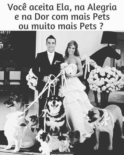 odonocuida's tweet photo. É muito isto!!!
.
.
.
. #odonocuida #dogsofinstaworld #doglover #dogsarefamily #dogsofinstagram #ilovemydogs #mydogs #dogstagram #dogsofinstaworld_ #dogsofportugal #petsagram #pets #caesportugal #caesdeportugal #instapet #instadog #instapets #petsarefami… https://t.co/LbSlGeGj6A https://t.co/jRKiW3ShAW