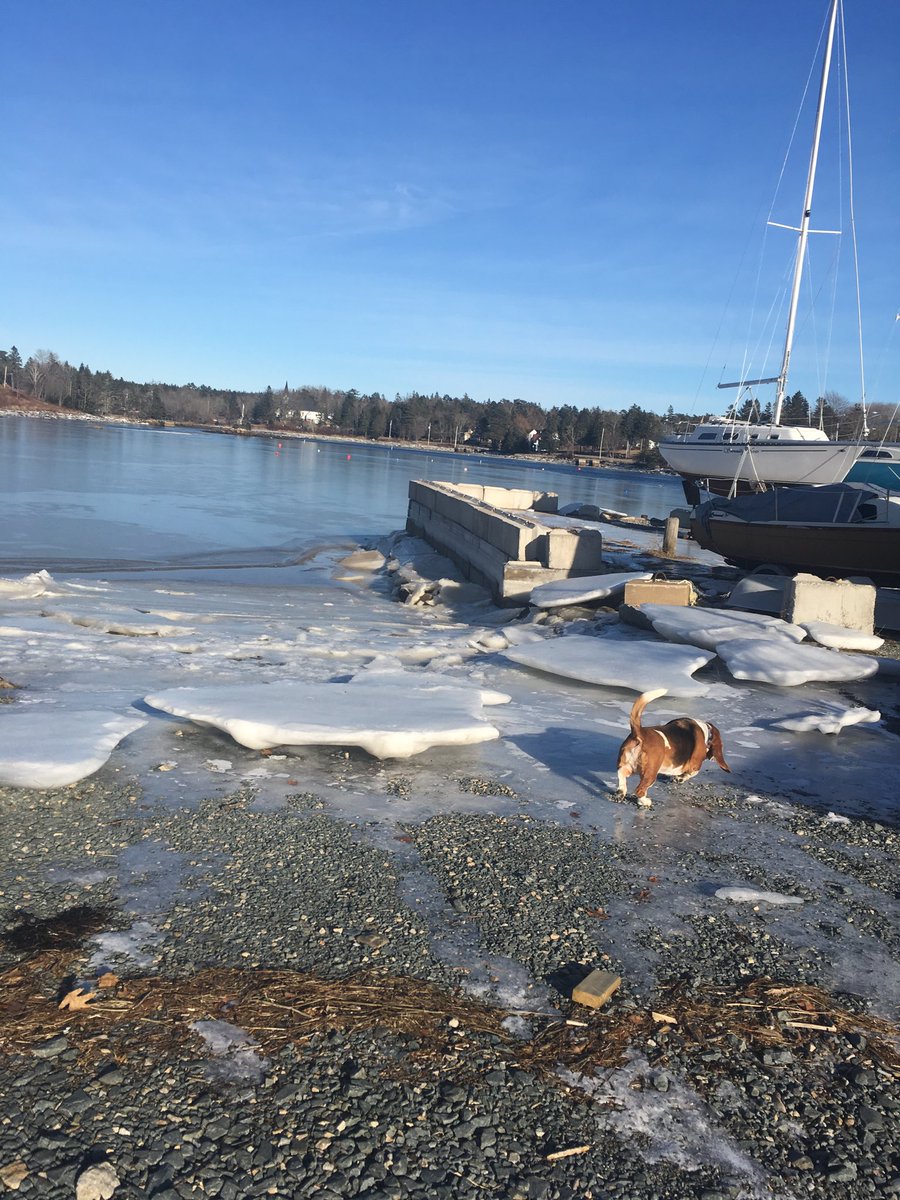 WilburBasset's tweet photo. Is a cold day! Those ice clampers are big! https://t.co/u9XMuXv0u2