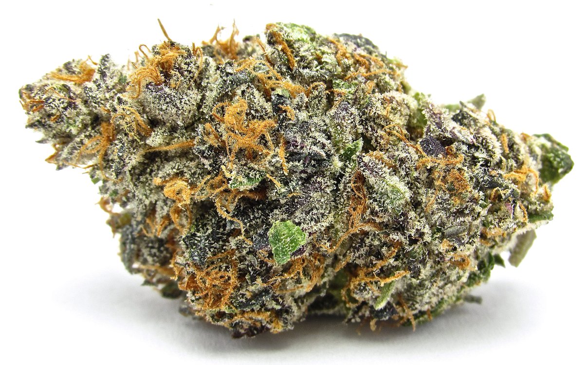 treetopsonly's tweet photo. How to Buy Gelato Seeds &amp; Clones https://t.co/M2Jl7OkAm1 via @Leafly #marijuana #cannabiz https://t.co/SDPSe8VYJ2
