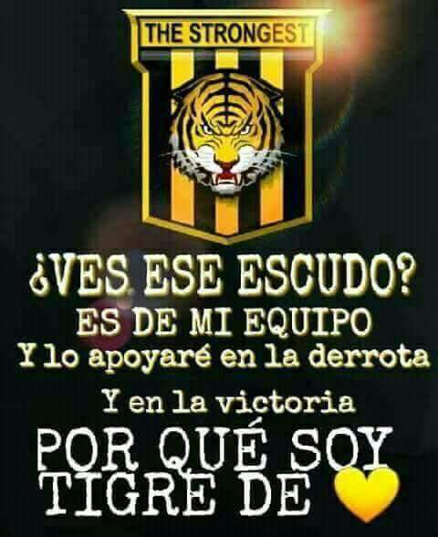 Hoy empezamos un nuevo campeonato! #UnaNuevaILusion #UnNuevoSueño profe @Pescobar10 #GarraCorazonYHuevos #DiosEsFiel @dannyvaca19 @adolfomachado31 @jhasmani_campos @Toro_Blackburn @jairreinoso18 @16walterveizaga @el_matatam_9 @henryvaca10 @rodrivargast11 @ClubStrongest 🐯🐅🏆🇧🇴