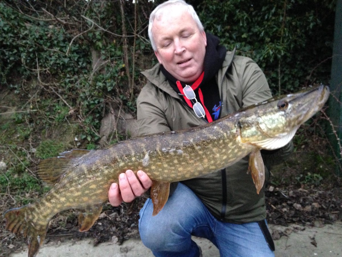 Flanag2Stephen's tweet photo. #Fishing #mentalhealth https://t.co/OxIWAHZOvn